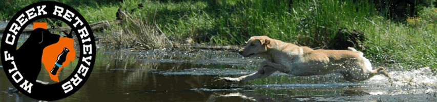 Wolf Creek Retrievers